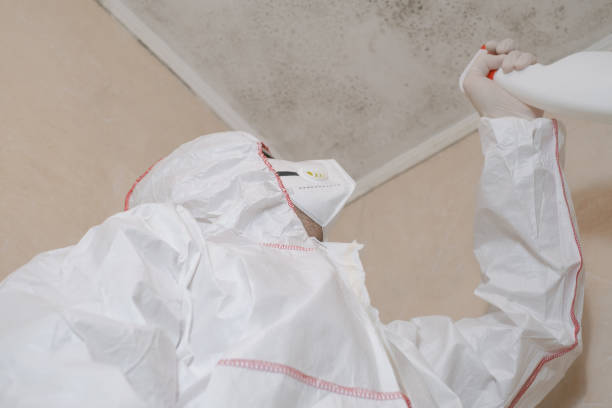 Best Mold Remediation for Schools in Franklinville, NJ